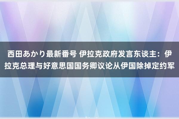 西田あかり最新番号 伊拉克政府发言东谈主：伊拉克总理与好意思国国务卿议论从伊国除掉定约军