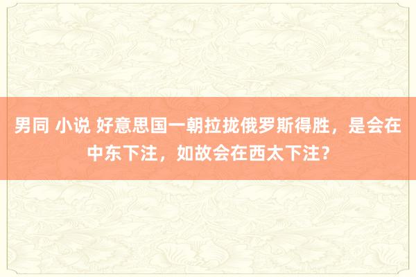 男同 小说 好意思国一朝拉拢俄罗斯得胜，是会在中东下注，如故会在西太下注？