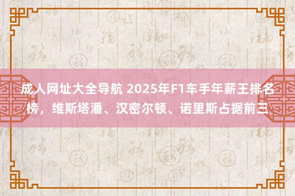 成人网址大全导航 2025年F1车手年薪王排名榜，维斯塔潘、汉密尔顿、诺里斯占据前三