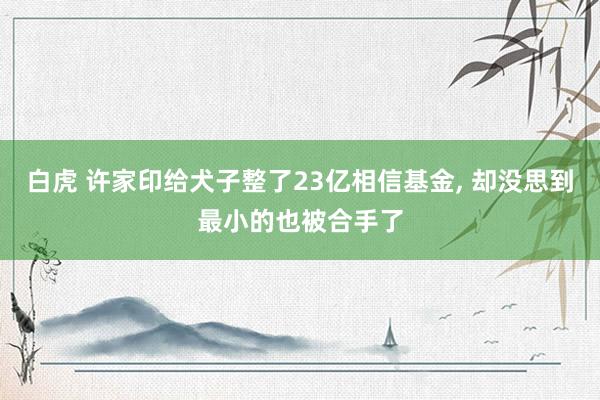 白虎 许家印给犬子整了23亿相信基金, 却没思到最小的也被合手了
