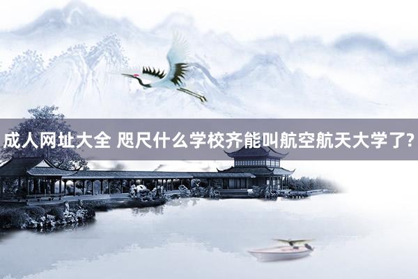 成人网址大全 咫尺什么学校齐能叫航空航天大学了?
