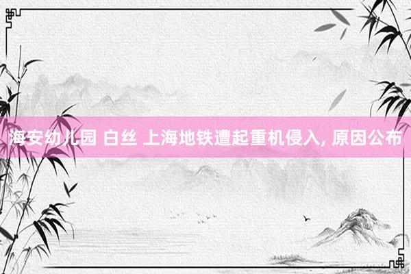 海安幼儿园 白丝 上海地铁遭起重机侵入, 原因公布