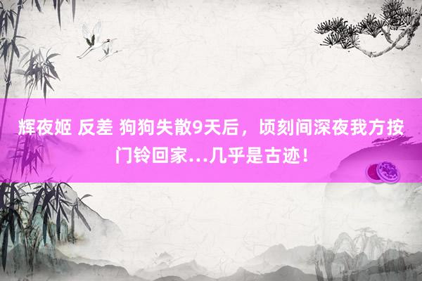 辉夜姬 反差 狗狗失散9天后，顷刻间深夜我方按门铃回家…几乎是古迹！